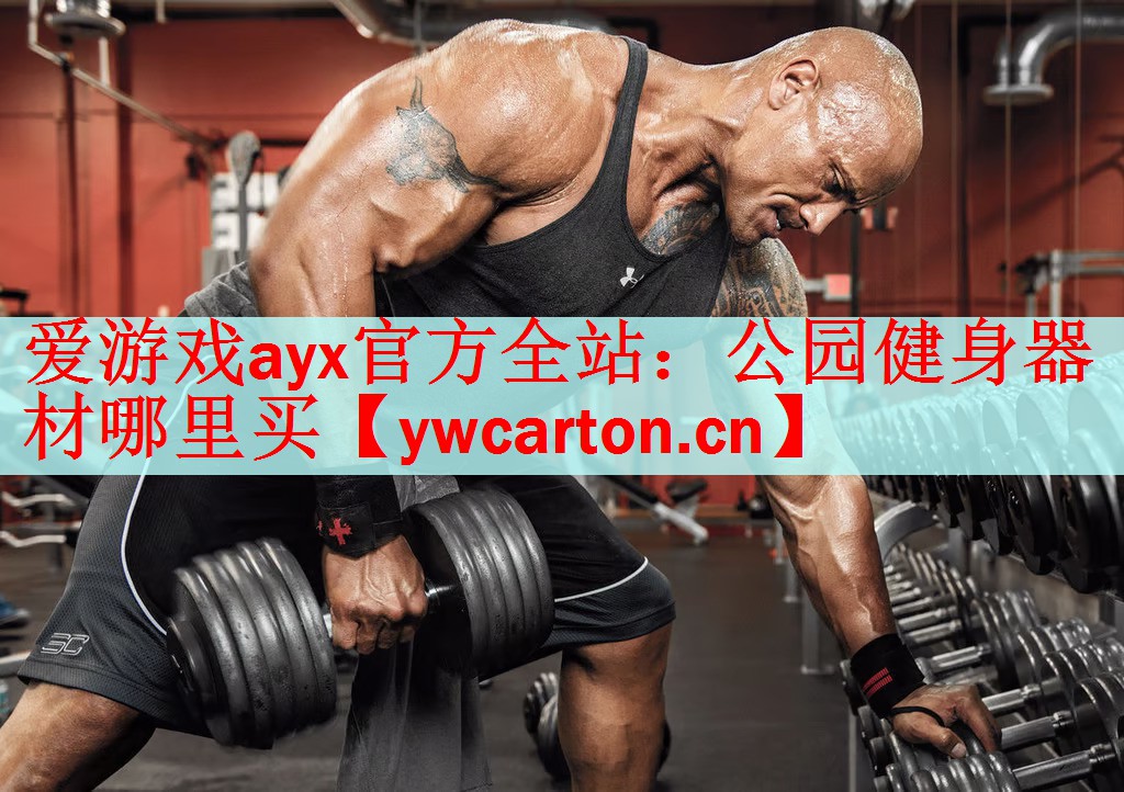 爱游戏ayx官方全站：公园健身器材哪里买