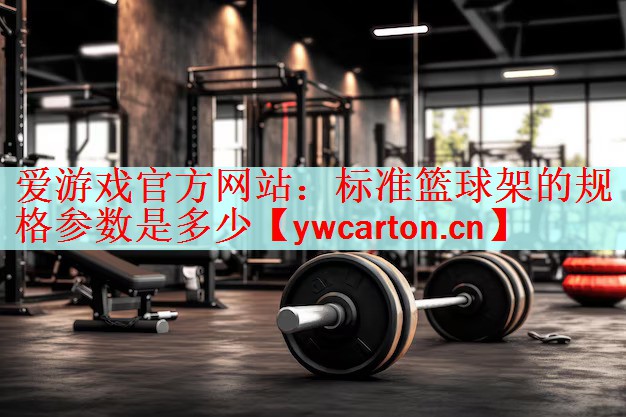 标准篮球架的规格参数是多少