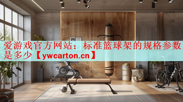 标准篮球架的规格参数是多少